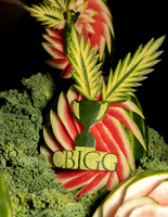 CBIGG-010
