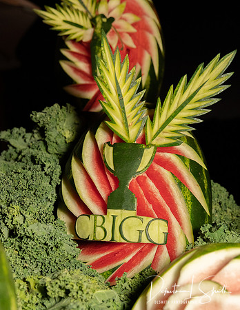 CBIGG-010