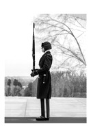 Honor Guard,  "Perfection."