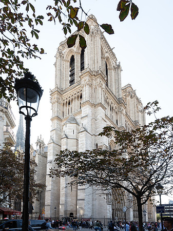 Cathédrale Notre-Dame de Paris IV